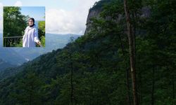 Giresun'da kahreden ölüm: Fındık toplarken feci şekilde can verdi