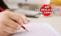 AÖF SINAV GİRİŞ BELGESİ 2024: Açıköğretim Fakültesi yaz okulu sınavı ne zaman hangi gün?