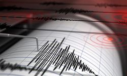 Ege Denizi'nde korkutan deprem: 4.3'lük sarsıntı beşik gibi salladı!