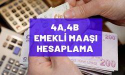 TC kimlik no ile emekli aylığı sorgulama| 4A, 4B ne kadar emekli maaşı alırım? Emekli maaşı hesaplama