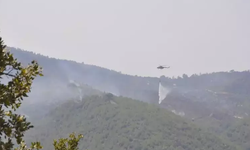 Son dakika! Manisa ve Uşak yangınları kontrol altında