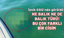 İznik Gölü'nde görüldü! Ne balık ne de balık türü: Bu çok farklı bir cisim