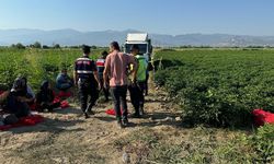 Tarlada uyurken üzerinden kamyon geçen çocuk öldü, şoför ise vuruldu