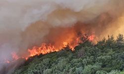 Çanakkale'de alevler kontrol altına alındı; Manisa, Aydın, Muğla, Bolu ve Karabük'te mücadele sürüyor