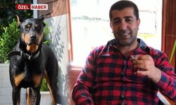 Denize düşen köpeğini kurtarmak isterken kendi öldü!