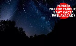 PERSEİD METEOR YAĞMURU 2024: 12 Ağustos meteor yağmuru saat kaçta olacak?