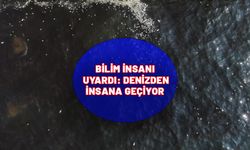 Bilim insanından dikkat çeken uyarı. Denizden insanlara geçiyor. Zehirli toksinlere dikkat.