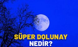 SÜPER DOLUNAY NEDİR, ÖZELLİKLERİ NELERDİR? 19 Ağustos Süper dolunay saat kaçta görünecek?