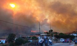 Manisa 5 gündür yanıyor: Bir mahalle tamamen küle döndü!