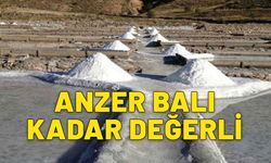 Tuzların anzer balı. Katkı maddesi içermiyor. Değerine değer katıyor. Doğal olarak paketlenip sofralarda buluşuyor