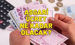 Asgari ücret bomba zam oranı. Fatih Portakal canlı yayında açıkladı