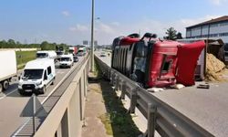 Arı sokması kazaya neden oldu: TIR 100 metre sürüklendi