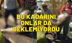 Balıkçıların ağına takıldı. 41 kilogram. İlk kez bu kadar büyüğünü yakaladık dediler. Şaşkınlıklarını gizleyemediler