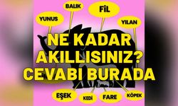 Ne kadar akıllısınız? Cevabı burada. Resimde kaç hayvan olduğunu çözerek ne kadar akıllı olduğunuzu öğrenin