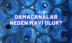 Damacanalar neden mavi olur? Sır ortaya çıktı. Bakın neymiş...