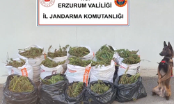 Zehir tacirlerine dev operasyon! Tonlarca uyuşturucu ele geçirildi, 63 kişi tutuklandı