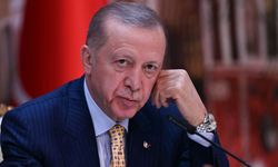 Erdoğan, İsrail'de öldürülen aktivist Eygi'nin annesiyle görüştü