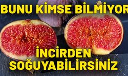 Öğrendiğinizde incirden uzaklaşabilirsiniz. İncir yerken gelen çıtırdılar kendini ele verdi. Meğer o canlıyı yiyormuşuz