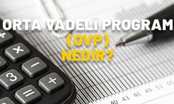 OVP NEDİR, İÇERİĞİNDE NELER VAR? Orta Vadeli Program ne işe yarıyor?