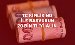 Nakite sıkışanlara müjde. TC Kimlik No’ya 20.000 TL ödeme yapılıyor.