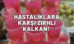 Hastalıklara karşı zırhlı kalkan. Gribi kapıdan içeri sokmuyor. Kış aylarının gözdesi.