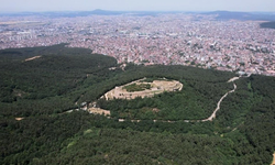 Ormanlar da turizme tahsis ediliyor. Resmi Gazete'de yayımlandı, Kültür ve Turizm Bakanlığı tarafından tahsis edilecek