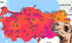 31, 29, 33, 37 derece. Vize alındı yine geliyor. Herkes hazırlıklı olsun