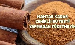 Meğer mantar gibi tarçının da zehri varmış. Bu testi yapmadan sakın yemeyin.