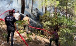 Türkiye'nin ciğerleri yanıyor: İzmir, Muğla, Antalya...