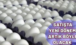 Yumurta satışında yeni dönem: Artık böyle olacak