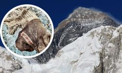 Everest’in 100 yıllık gizemi çözülüyor: Esrarengiz bot kime ait?