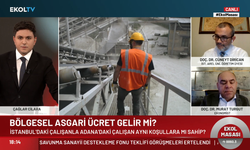 Bölgesel asgari ücret tartışması Ekol TV'de: Her ildeki çalışan aynı koşullara sahip mi?