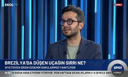 Diyetisyen Ersin Özdemir'den Balçiçek ile Şimdi'de Brezilya'da düşen uçak ile ilgili çarpıcı iddia