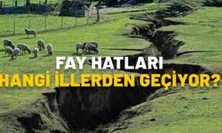 FAY HATLARI HANGİ İLLERDEN GEÇİYOR? Türkiye’de kaç tane büyük fay hattı var? Türkiye fay hatları haritası