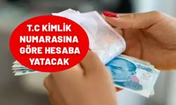 T.C kimlik numarasına göre ödeme takvimi açıklandı. 15.000- 20. 000 TL arası para yatacak.