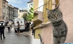 Sivas’ta 80 yaşındaki adam, kedi besledikleri için baba ve oğlu vurdu!