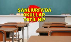 SON DAKİKA| Şanlıurfa'da okullar tatil mi edildi? Okullar nerede tatil edildi?