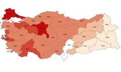 TÜİK açıkladı: İşte en düşük gelire sahip iller