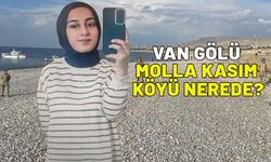 Rojin Kabaiş'in bulunduğu Van Gölü Molla Kasım Köyü nerede?