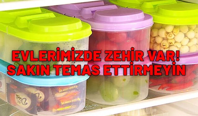 Hepimizin evinde var. İçine yemeklerimizi bile koyuyoruz. Aman sakın temas ettirmeyin!