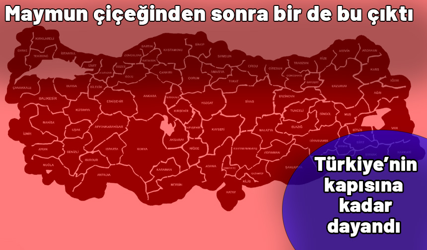 Maymun çiçeğinden sonra bir de bu çıktı! Türkiye'nin kapısına kadar dayandı