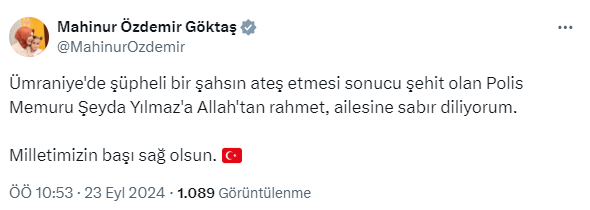 Ekran Görüntüsü 2024 09 23 110535